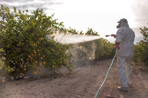 Best Pest Prevention Services  in Westhampton, NY