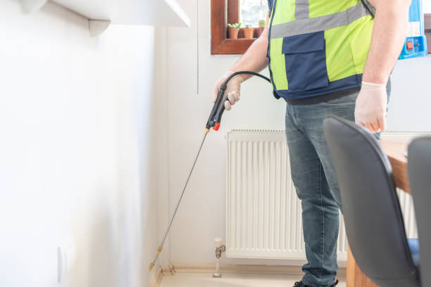 Best Termite Control Services  in Westhampton, NY
