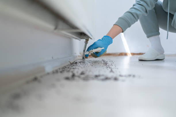 Best Residential Pest Control  in Westhampton, NY